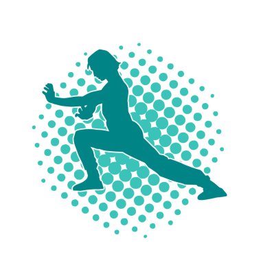 Doğu dövüş sanatı pozu veren bir adamın silueti. Dövüş sanatlarında bir erkeğin silueti..