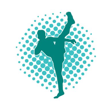 Dövüş sanatları pozu veren bir erkeğin silueti. Dövüş sanatları ustasının silueti tekme atma pozu veriyor..