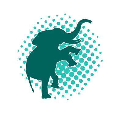 Büyük bir fil hayvanının silueti. Vahşi bir fil hayvanının silueti..