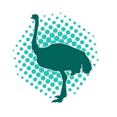 Sıradan bir devekuşunun silueti uçamayan kuşun