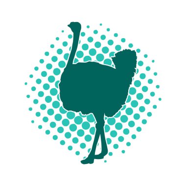 Sıradan bir devekuşunun silueti uçamayan kuşun