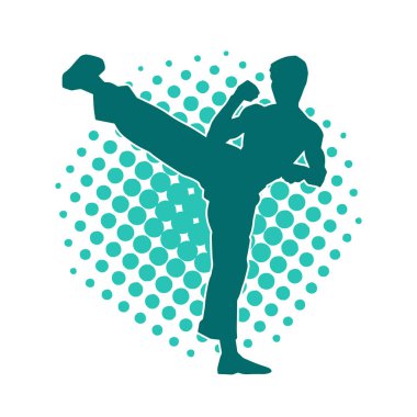 Dövüş sanatları pozu veren bir erkeğin silueti. Dövüş sanatları ustasının silueti tekme atma pozu veriyor..