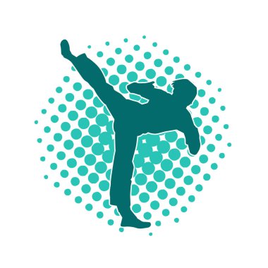 Dövüş sanatları pozu veren bir erkeğin silueti. Dövüş sanatları ustasının silueti tekme atma pozu veriyor..