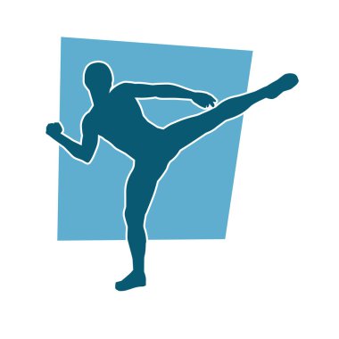 Dövüş sanatları pozu veren bir erkeğin silueti. Dövüş sanatları ustasının silueti tekme atma pozu veriyor..