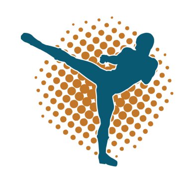 Dövüş sanatları pozu veren bir erkeğin silueti. Dövüş sanatları ustasının silueti tekme atma pozu veriyor..