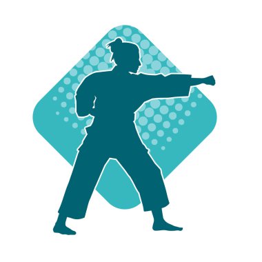 Dövüş sanatları yapan zayıf bir kadının silueti. Dövüş sanatlarında çalışan bir kadının silueti..