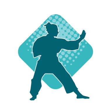 Dövüş sanatları yapan zayıf bir kadının silueti. Dövüş sanatlarında çalışan bir kadının silueti..