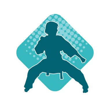 Dövüş sanatları yapan zayıf bir kadının silueti. Dövüş sanatlarında çalışan bir kadının silueti..