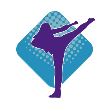 Dövüş sanatları pozu veren bir erkeğin silueti. Dövüş sanatları ustasının silueti tekme atma pozu veriyor..