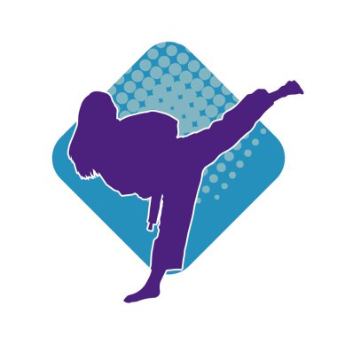 Dövüş sanatları pozu veren bir erkeğin silueti. Dövüş sanatları ustasının silueti tekme atma pozu veriyor..