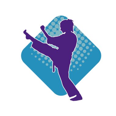 Dövüş sanatları pozu veren bir erkeğin silueti. Dövüş sanatları ustasının silueti tekme atma pozu veriyor..