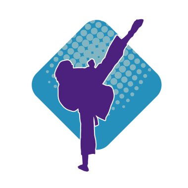 Dövüş sanatları pozu veren bir erkeğin silueti. Dövüş sanatları ustasının silueti tekme atma pozu veriyor..