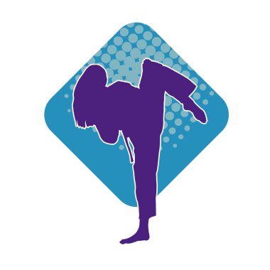 Dövüş sanatları pozu veren bir erkeğin silueti. Dövüş sanatları ustasının silueti tekme atma pozu veriyor..