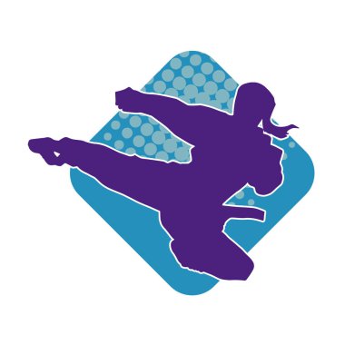 Dövüş sanatları pozu veren bir erkeğin silueti. Dövüş sanatları ustasının silueti tekme atma pozu veriyor..