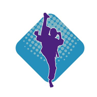 Dövüş sanatları pozu veren bir erkeğin silueti. Dövüş sanatları ustasının silueti tekme atma pozu veriyor..