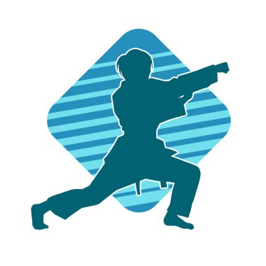 Dövüş sanatları yapan zayıf bir kadının silueti. Dövüş sanatlarında çalışan bir kadının silueti..