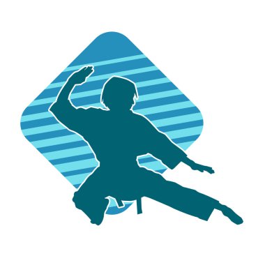 Dövüş sanatları yapan zayıf bir kadının silueti. Dövüş sanatlarında çalışan bir kadının silueti..