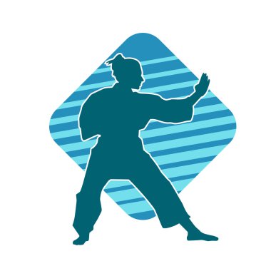 Dövüş sanatları yapan zayıf bir kadının silueti. Dövüş sanatlarında çalışan bir kadının silueti..