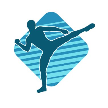 Dövüş sanatları pozu veren bir erkeğin silueti. Dövüş sanatları ustasının silueti tekme atma pozu veriyor..