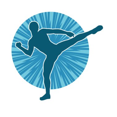 Dövüş sanatları tekmesi pozu veren bir erkek modelin silueti. Dövüş sanatlarının silueti..