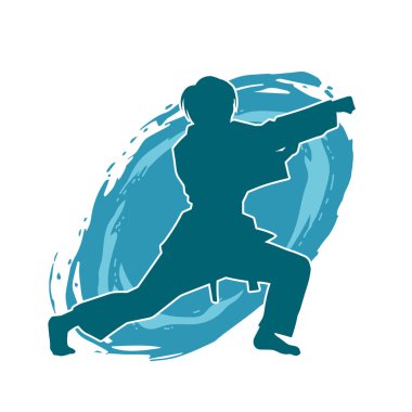 Dövüş sanatları yapan zayıf bir kadının silueti. Dövüş sanatlarında çalışan bir kadının silueti..