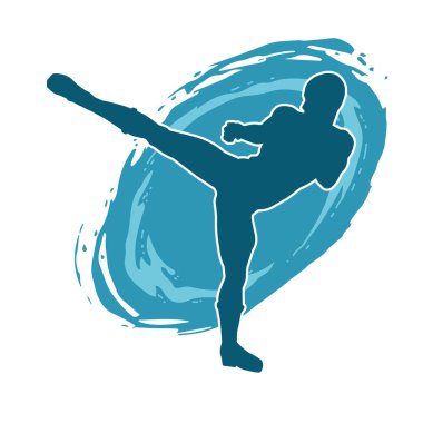 Dövüş sanatları pozu veren bir erkeğin silueti. Dövüş sanatları ustasının silueti tekme atma pozu veriyor..