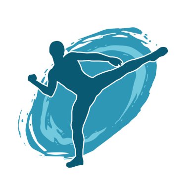 Dövüş sanatları pozu veren bir erkeğin silueti. Dövüş sanatları ustasının silueti tekme atma pozu veriyor..