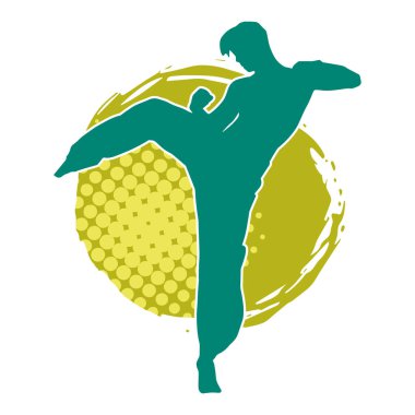 Dövüş sanatları pozu veren bir erkeğin silueti. Dövüş sanatları ustasının silueti tekme atma pozu veriyor..