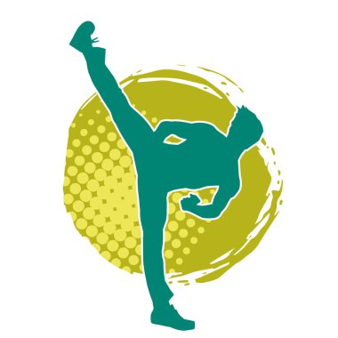 Dövüş sanatları pozu veren bir erkeğin silueti. Dövüş sanatları ustasının silueti tekme atma pozu veriyor..