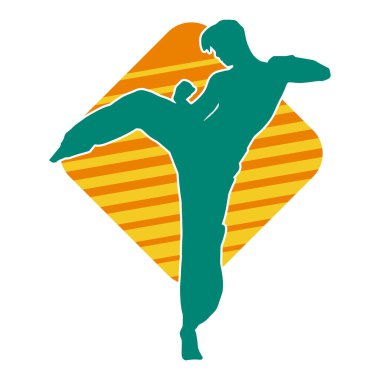 Dövüş sanatları pozu veren bir erkeğin silueti. Dövüş sanatları ustasının silueti tekme atma pozu veriyor..