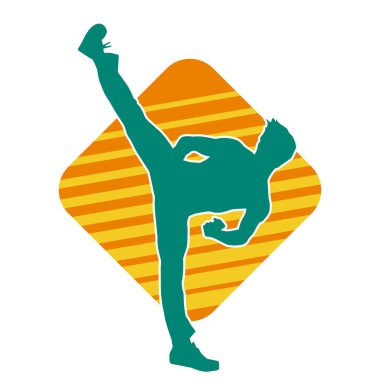 Dövüş sanatları pozu veren bir erkeğin silueti. Dövüş sanatları ustasının silueti tekme atma pozu veriyor..