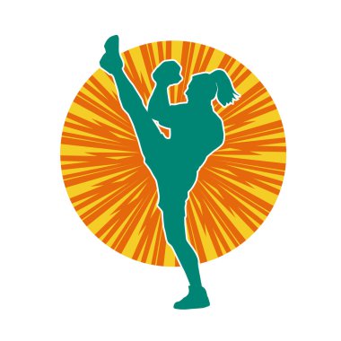 Dövüş sanatları pozu veren bir erkeğin silueti. Dövüş sanatları ustasının silueti tekme atma pozu veriyor..