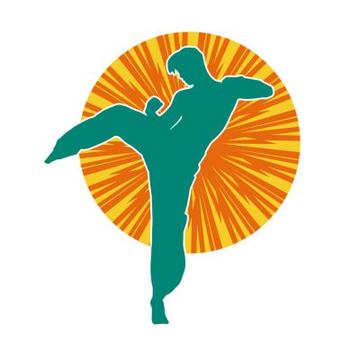 Dövüş sanatları pozu veren bir erkeğin silueti. Dövüş sanatları ustasının silueti tekme atma pozu veriyor..