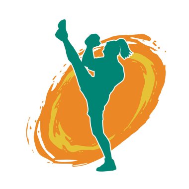 Dövüş sanatları pozu veren bir erkeğin silueti. Dövüş sanatları ustasının silueti tekme atma pozu veriyor..