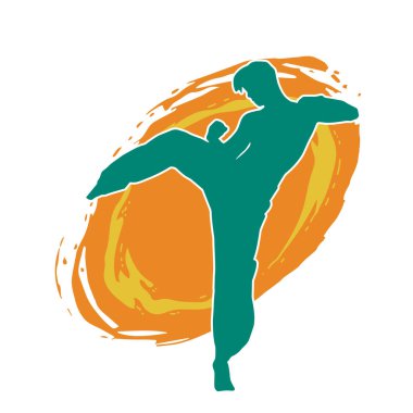 Dövüş sanatları pozu veren bir erkeğin silueti. Dövüş sanatları ustasının silueti tekme atma pozu veriyor..