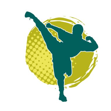 Dövüş sanatları pozu veren bir erkeğin silueti. Dövüş sanatları ustasının silueti tekme atma pozu veriyor..