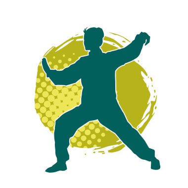 Dövüş sanatları yapan zayıf bir kadının silueti. Dövüş sanatlarında çalışan bir kadının silueti..