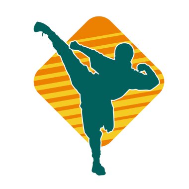 Dövüş sanatları pozu veren bir erkeğin silueti. Dövüş sanatları ustasının silueti tekme atma pozu veriyor..