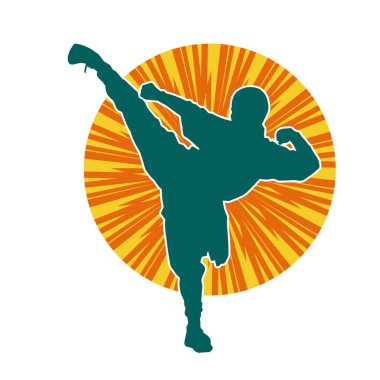 Dövüş sanatları tekmesi pozu veren bir erkek modelin silueti. Dövüş sanatlarının silueti..