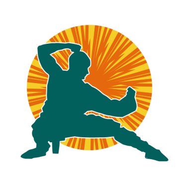 Doğu dövüş sanatı pozu veren bir adamın silueti. Dövüş sanatlarında bir erkeğin silueti..