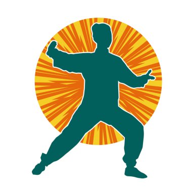 Dövüş sanatları yapan zayıf bir kadının silueti. Dövüş sanatlarında çalışan bir kadının silueti..