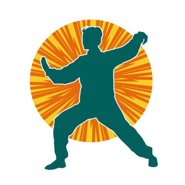 Dövüş sanatları yapan zayıf bir kadının silueti. Dövüş sanatlarında çalışan bir kadının silueti..