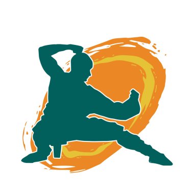 Doğu dövüş sanatı pozu veren bir adamın silueti. Dövüş sanatlarında bir erkeğin silueti..