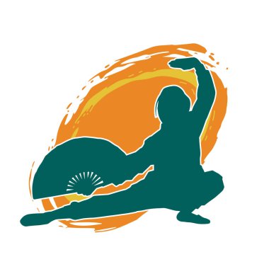 Dövüş sanatları yapan zayıf bir kadının silueti. Dövüş sanatlarında çalışan bir kadının silueti..