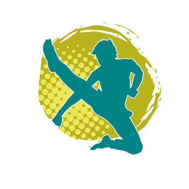 Dövüş sanatları pozu veren bir erkeğin silueti. Dövüş sanatları ustasının silueti tekme atma pozu veriyor..