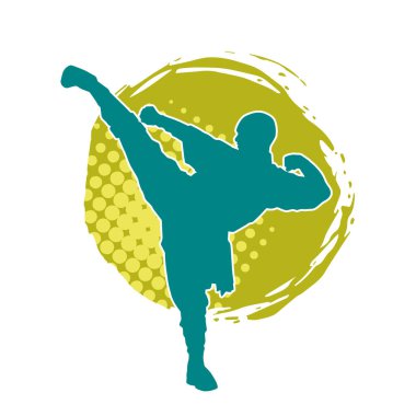 Dövüş sanatları pozu veren bir erkeğin silueti. Dövüş sanatları ustasının silueti tekme atma pozu veriyor..