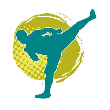 Dövüş sanatları pozu veren bir erkeğin silueti. Dövüş sanatları ustasının silueti tekme atma pozu veriyor..