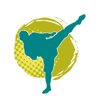 Dövüş sanatları pozu veren bir erkeğin silueti. Dövüş sanatları ustasının silueti tekme atma pozu veriyor..