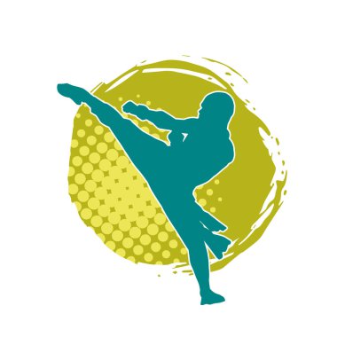 Dövüş sanatları pozu veren bir erkeğin silueti. Dövüş sanatları ustasının silueti tekme atma pozu veriyor..