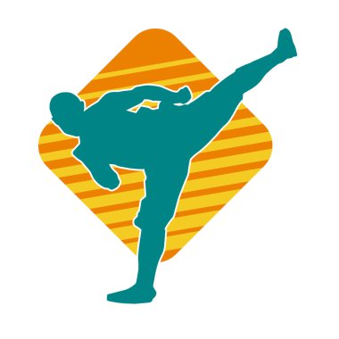 Dövüş sanatları pozu veren bir erkeğin silueti. Dövüş sanatları ustasının silueti tekme atma pozu veriyor..